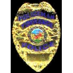 TORRANCE, CA POLICEMAN POLICE DEPARTMENT MINI BADGE PIN
